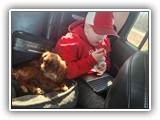 English Toy Spaniel (73)