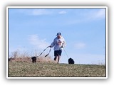 Englsh Toy Spaniel (106)