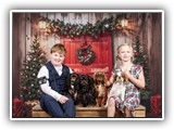 Englsh Toy Spaniel (2)
