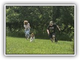 Englsh Toy Spaniel (267)
