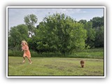 Englsh Toy Spaniel (372)