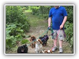Englsh Toy Spaniel (428)