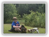 Englsh Toy Spaniel (579)