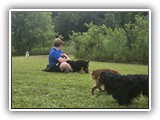 Englsh Toy Spaniel (583)
