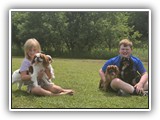 Englsh Toy Spaniel (587)