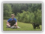 Englsh Toy Spaniel (597)
