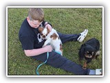 Englsh Toy Spaniel (782)