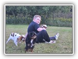 Englsh Toy Spaniel (795)