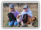 Englsh Toy Spaniel (83)