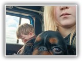 Englsh Toy Spaniel (856)