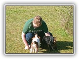 Englsh Toy Spaniel (901)