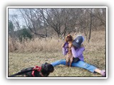 Englsh Toy Spaniel (91)